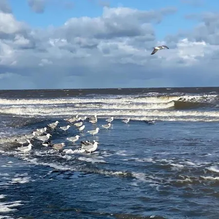 In Sint Maartenszee Near Sandy Σπίτι διακοπών Sint Maartensvlotbrug