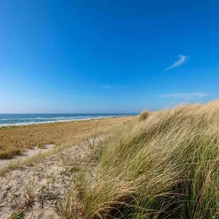 In Sint Maartenszee Near Sandy Σπίτι διακοπών Sint Maartensvlotbrug