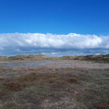 In Sint Maartenszee Near Sandy * Sint Maartensvlotbrug