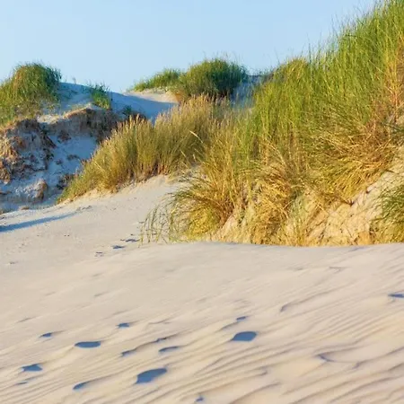 In Sint Maartenszee Near Sandy Sint Maartensvlotbrug