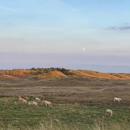 In Sint Maartenszee Near Sandy Vakantiehuis