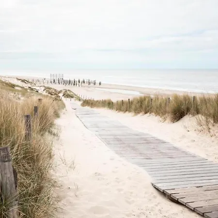 In Sint Maartenszee Near Sandy