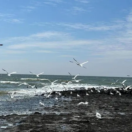 In Sint Maartenszee Near Sandy Sint Maartensvlotbrug